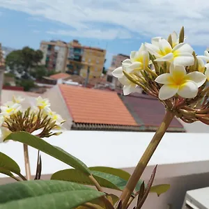 https://apartamento-plumaria.es-andalucia.com